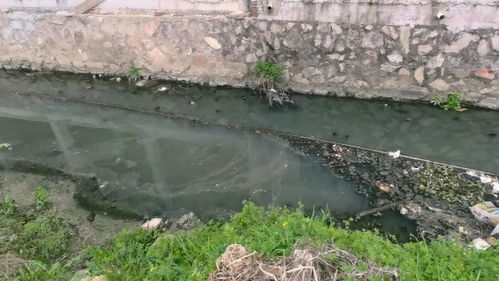 江西城市生活污水處理 頑疾為何久拖不治？